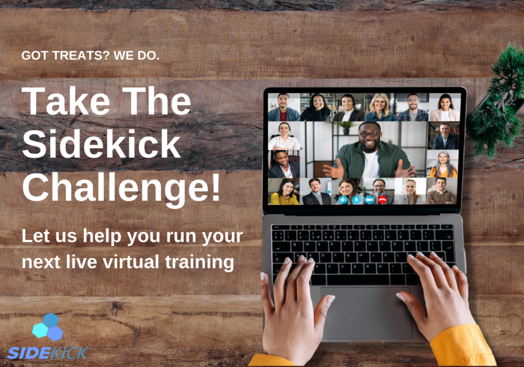 Sidekick Challenge Promo with Person on Laptop